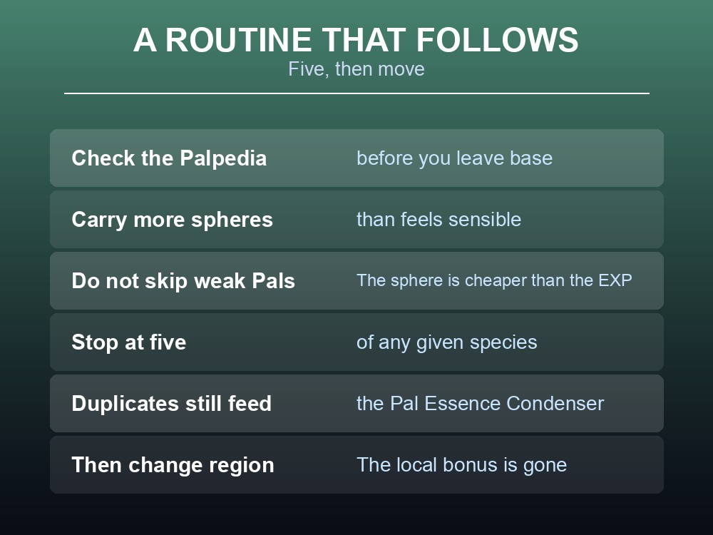 Card outlining a Palworld catching route built around the five-capture bonus window.