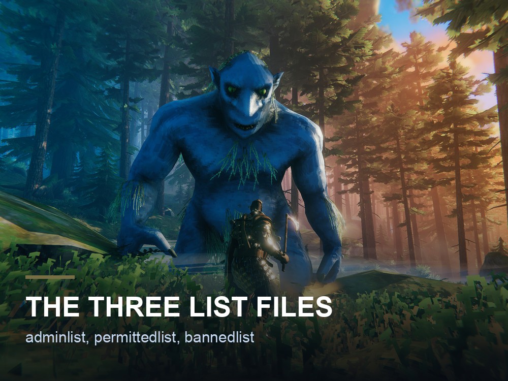 A Valheim server player list.