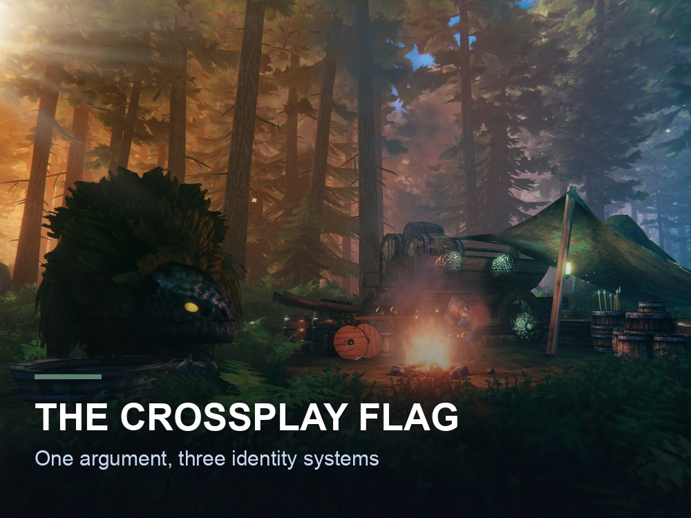 Players from different platforms in Valheim.