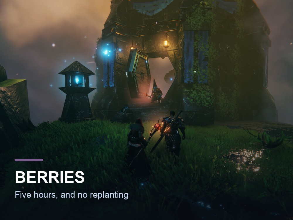 Raspberry bushes in the Valheim Meadows.