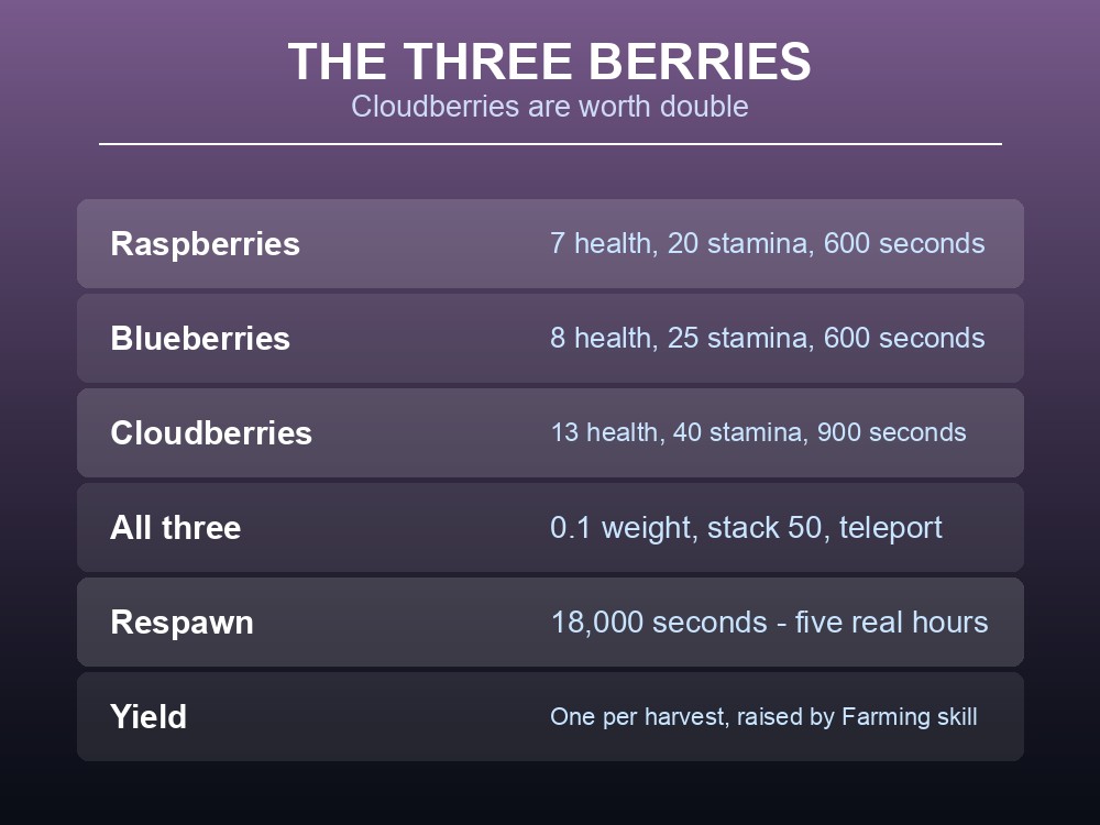 Card comparing Valheim's three berries by health, stamina and duration.