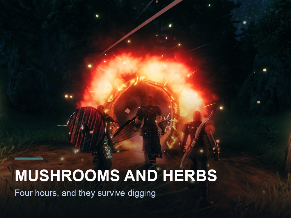 Mushrooms on the forest floor in Valheim.