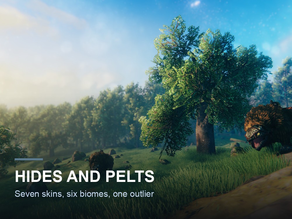 Hides on a tanning rack in Valheim.