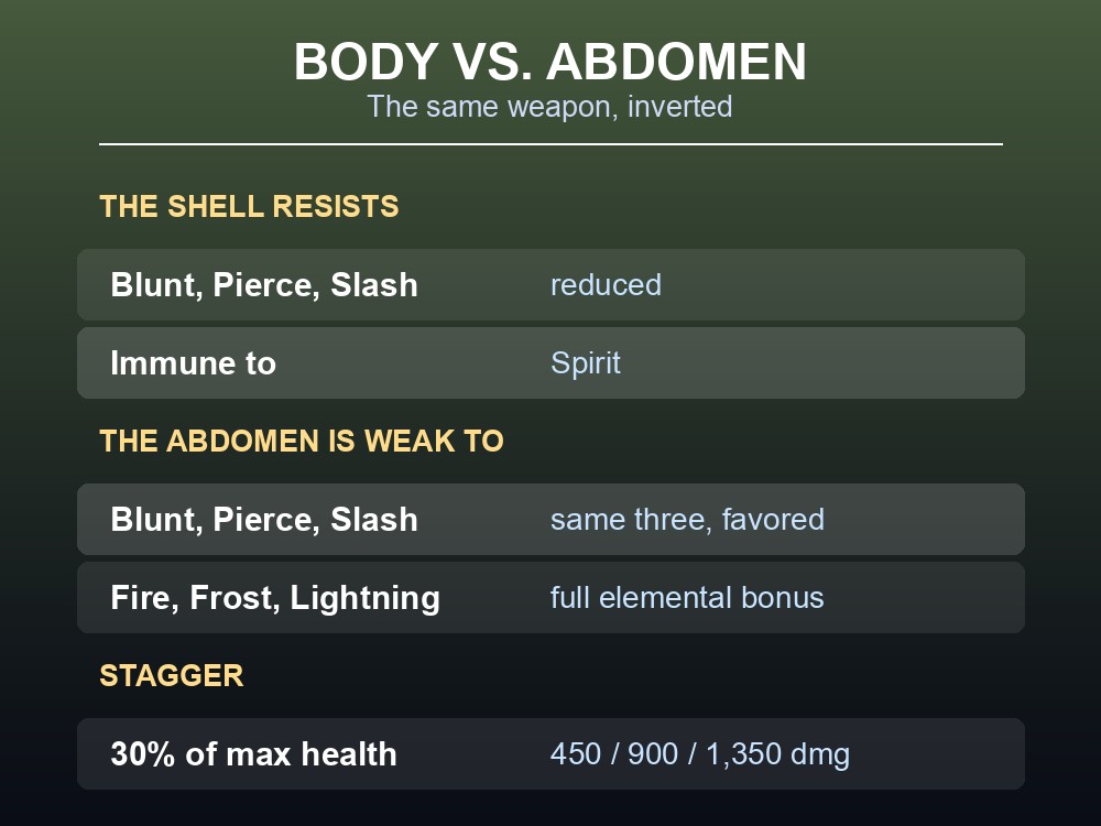 Card comparing the shell's resistances to the abdomen's weaknesses.
