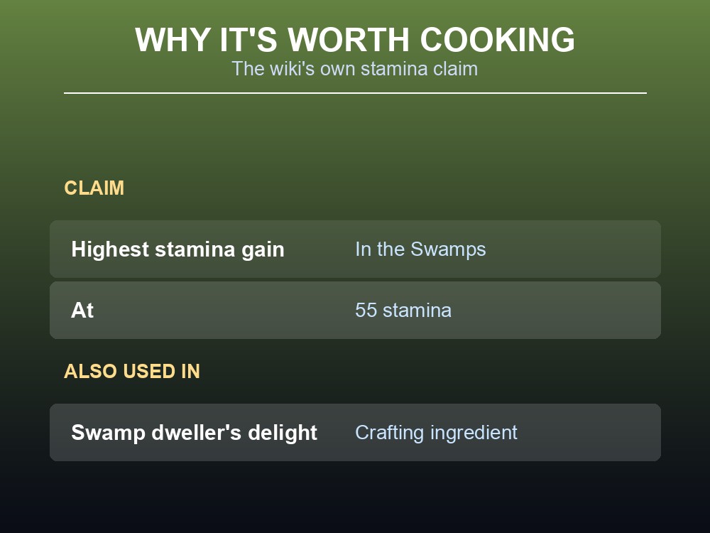 Card explaining why Turnip Stew leads the Swamps on stamina and where else it's used.