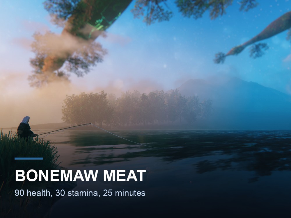 A Valheim character fishing at a misty lakeshore.