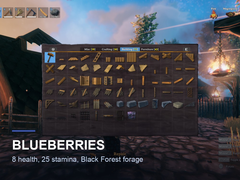 A Valheim forest clearing.
