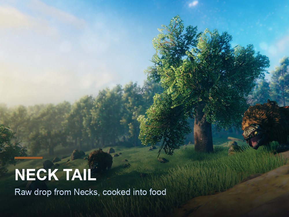 A Valheim cooking scene over an open fire.