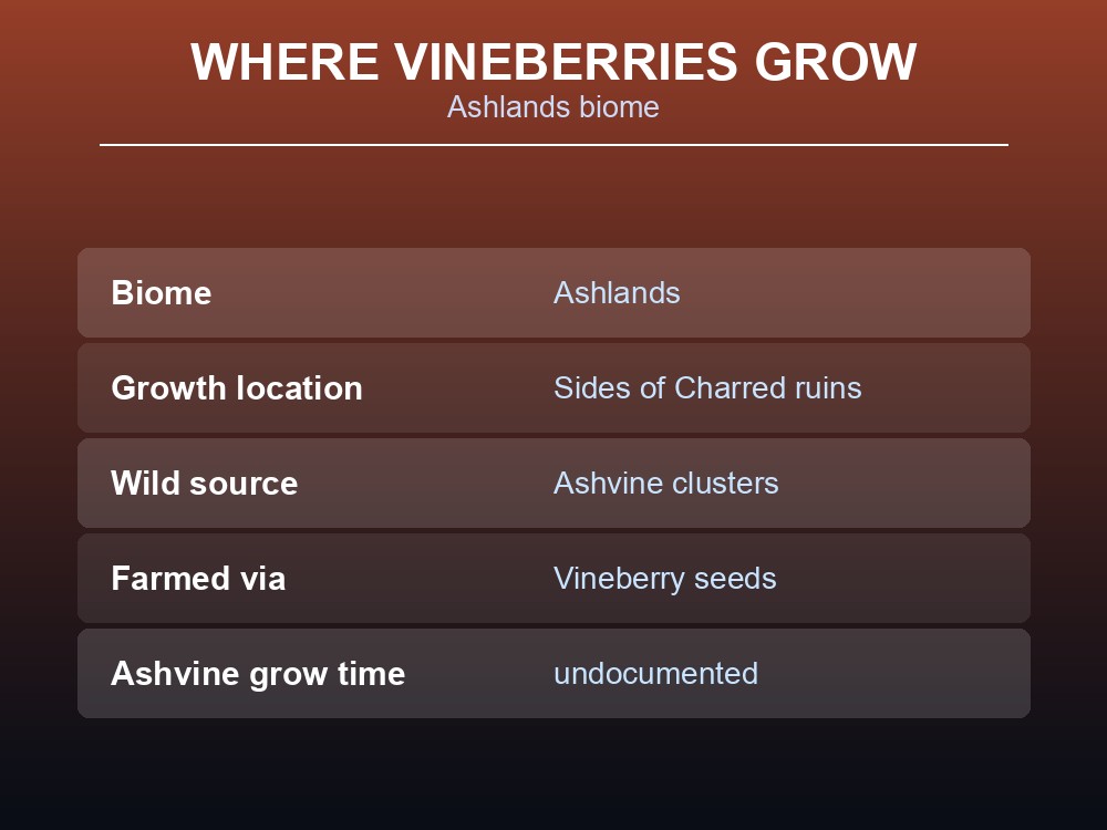 Card showing where and how Vineberry clusters are gathered.
