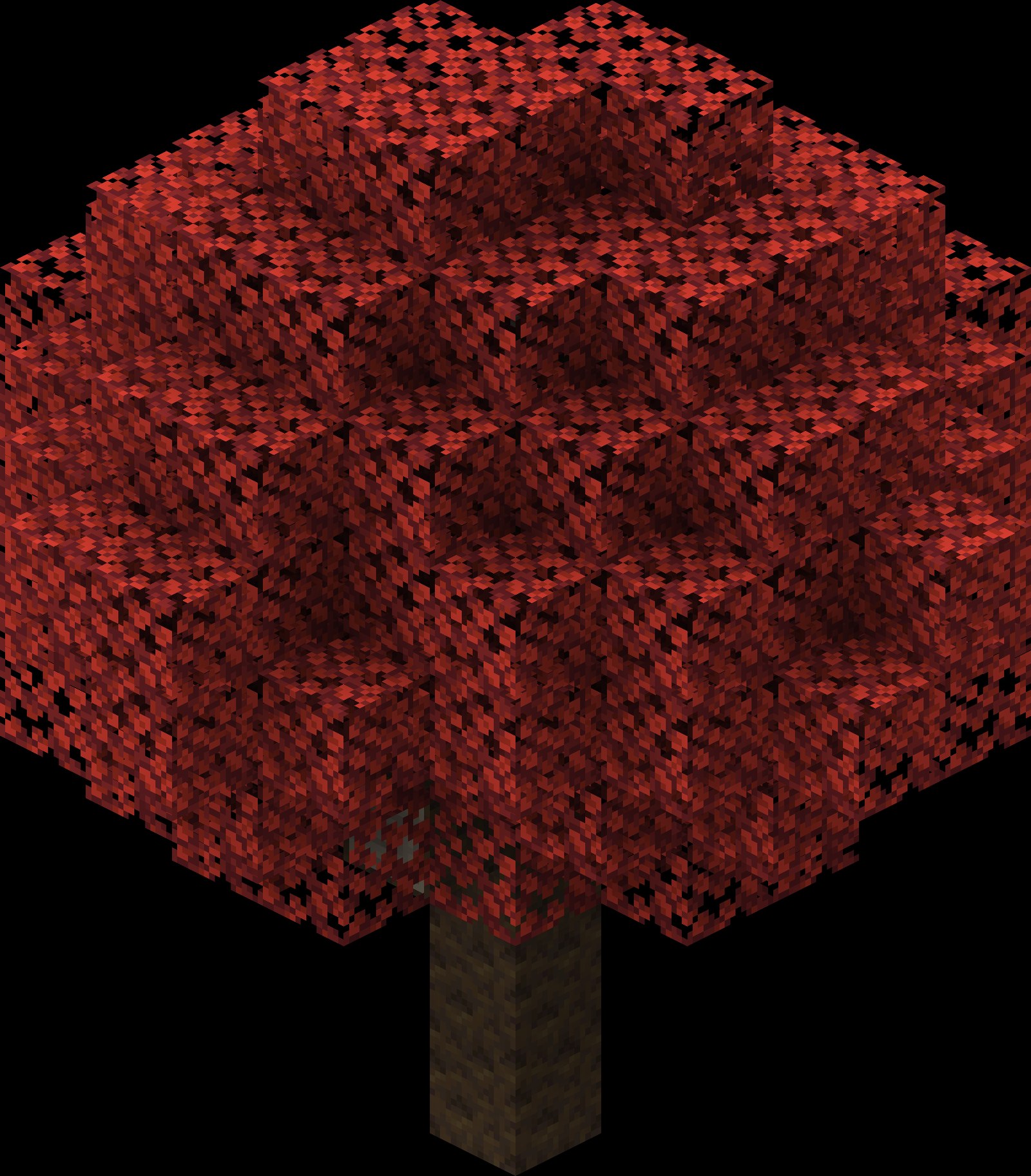 A poplar tree with red autumn leaves