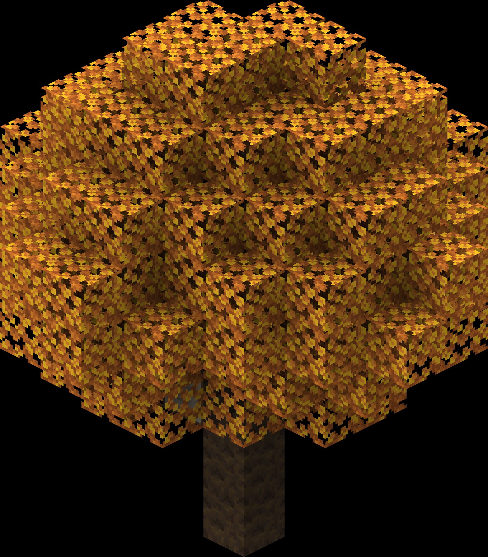 A poplar tree with yellow autumn leaves