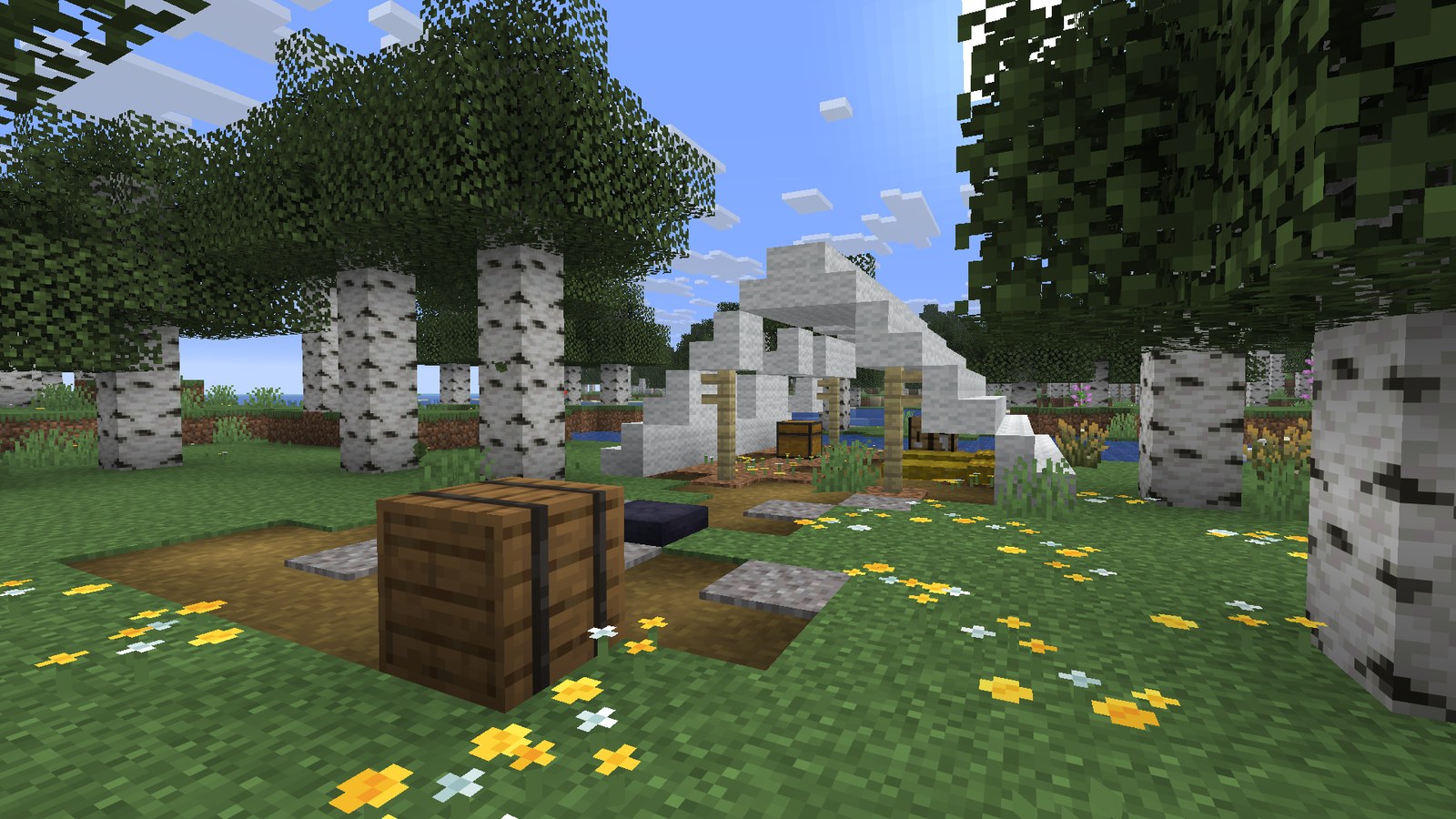 An abandoned camp generating in a birch forest