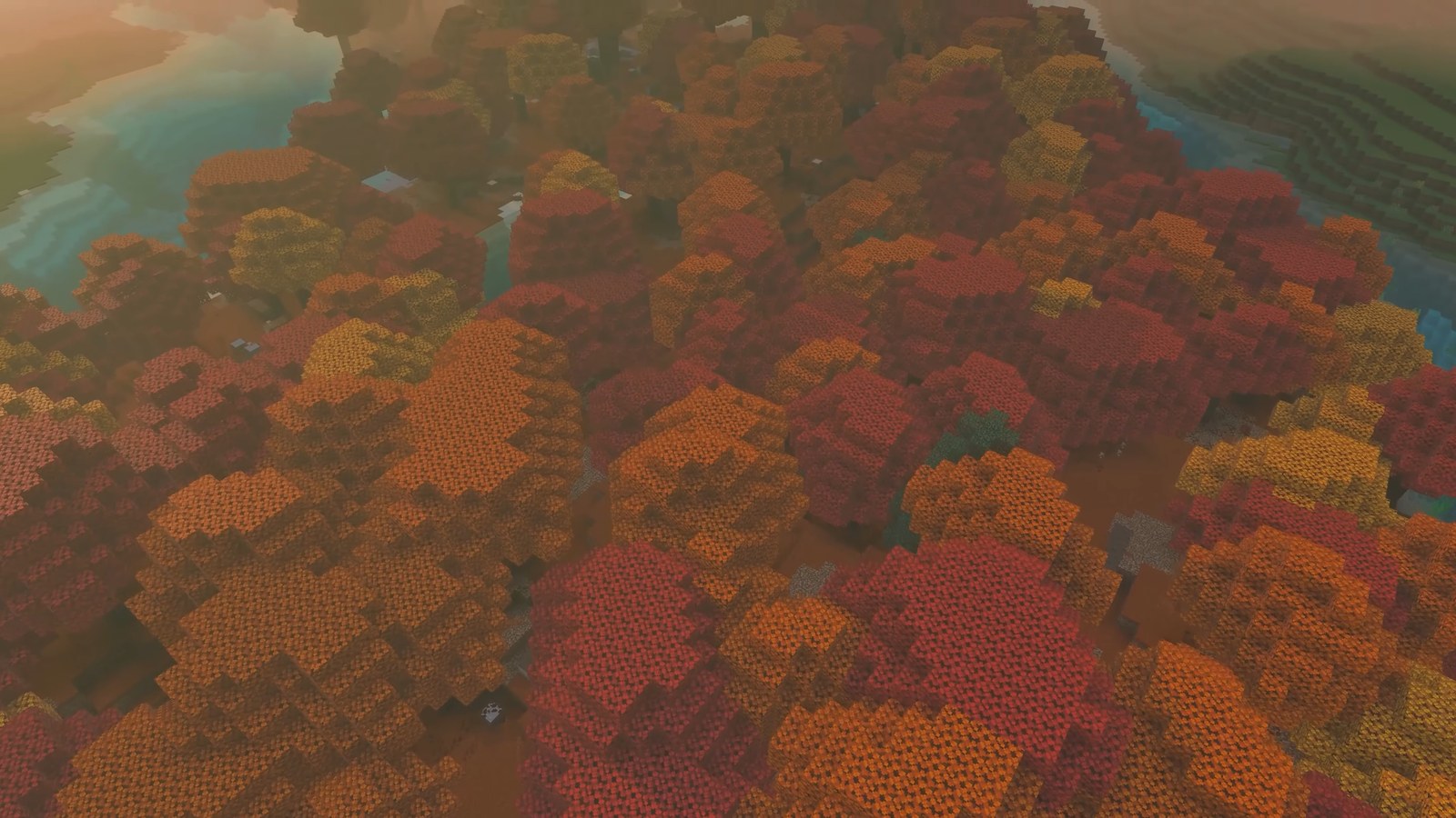An overhead view of a dappled forest in Wilderness Bound