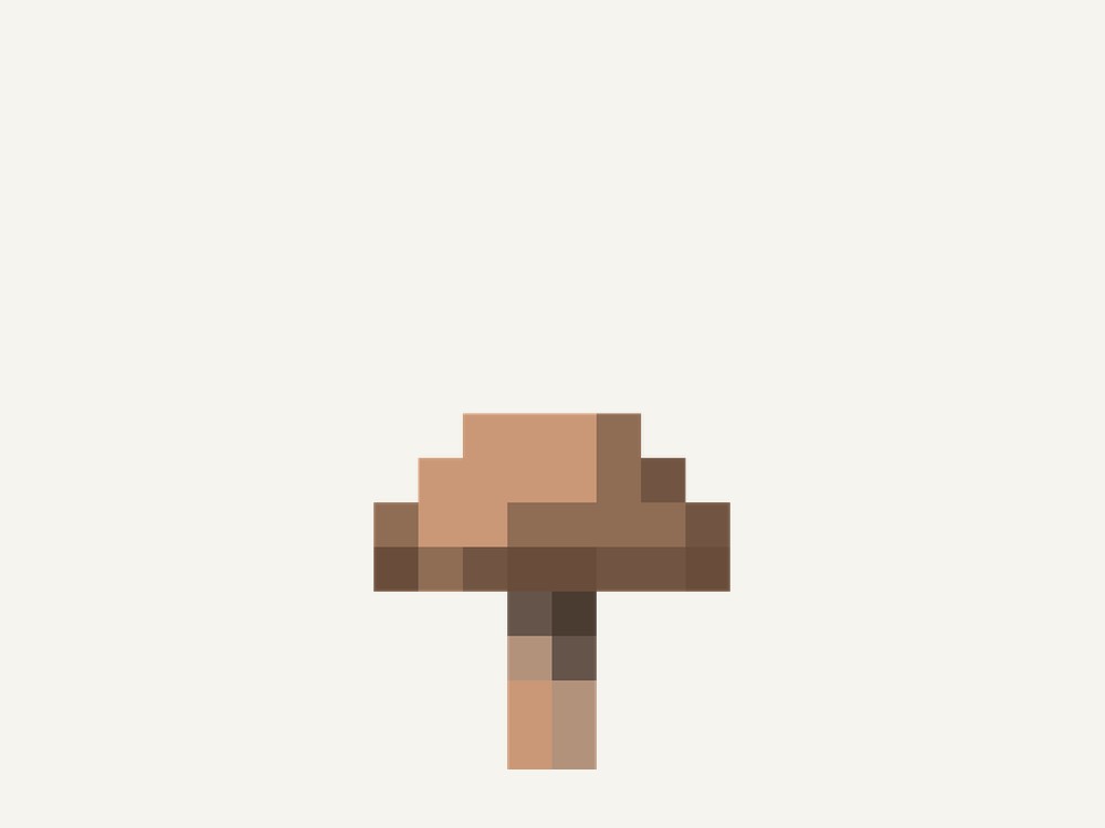 A brown mushroom, an ingredient for mushroom stew
