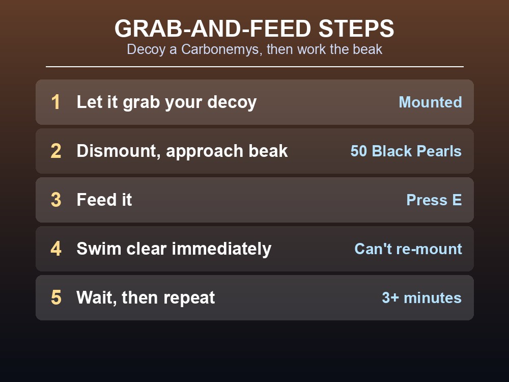 Diagram of the Tusoteuthis decoy-and-feed taming steps