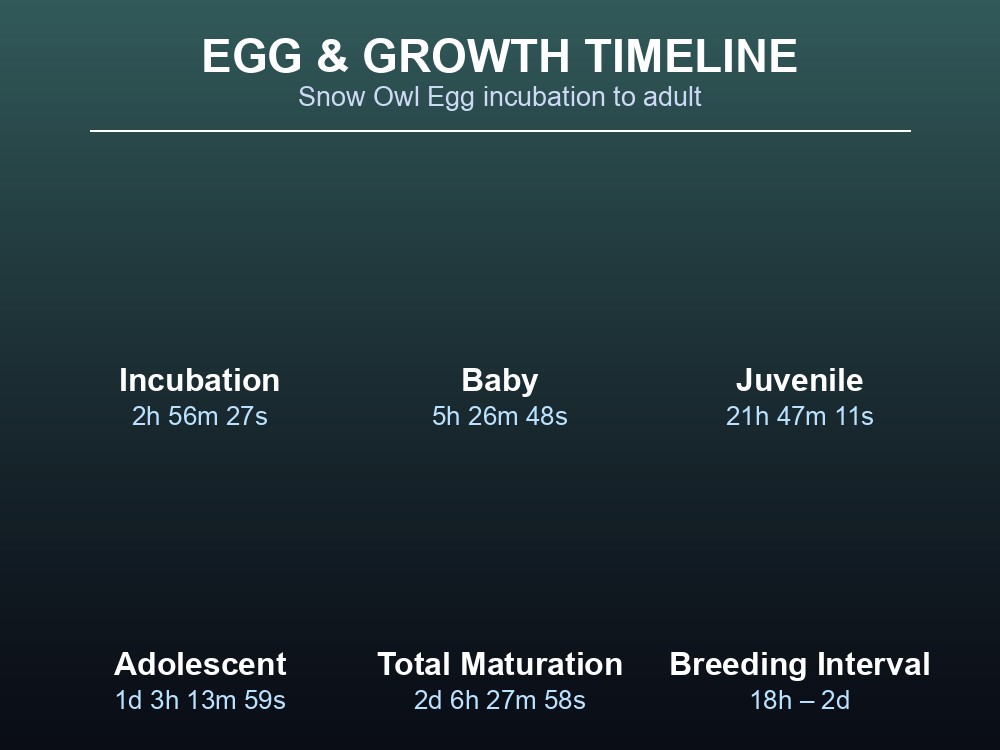 Table of Snow Owl egg incubation and growth-stage durations