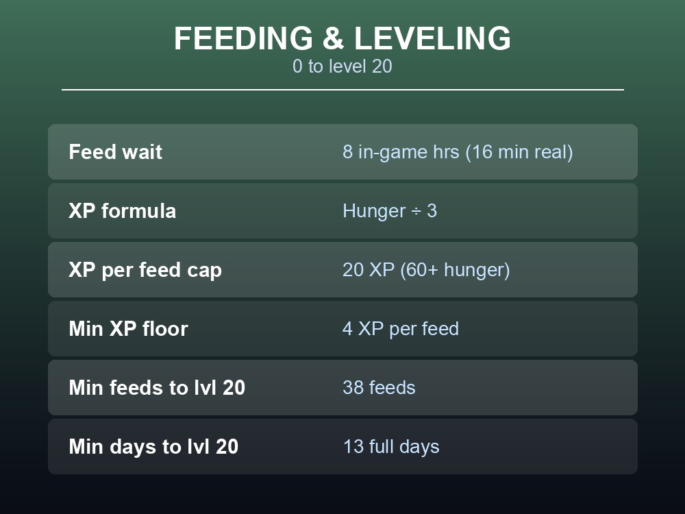 Table card showing the feeding timer, XP formula and minimum feeds/days to level a pet to 20.