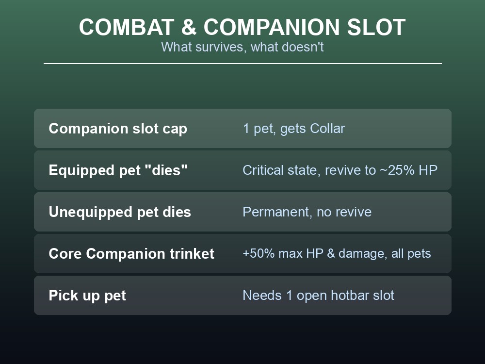 Table card explaining Companion Slot mechanics and combat survival rules.