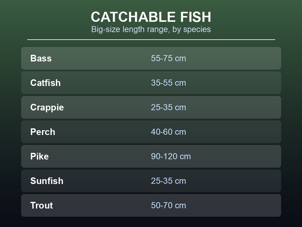 Table card listing the size ranges of the seven catchable fish species in Project Zomboid.