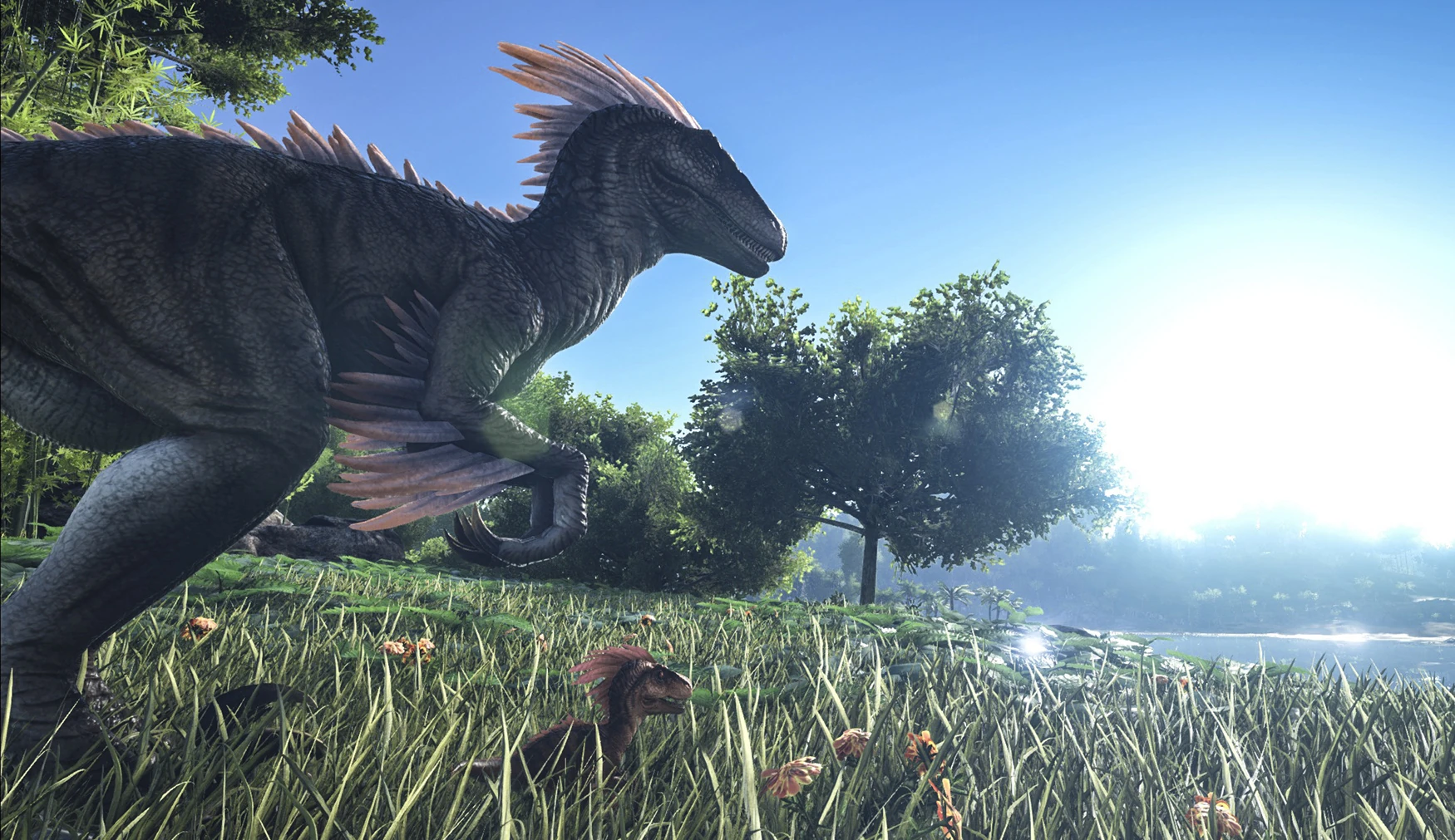 Sunrise over the ARK landscape