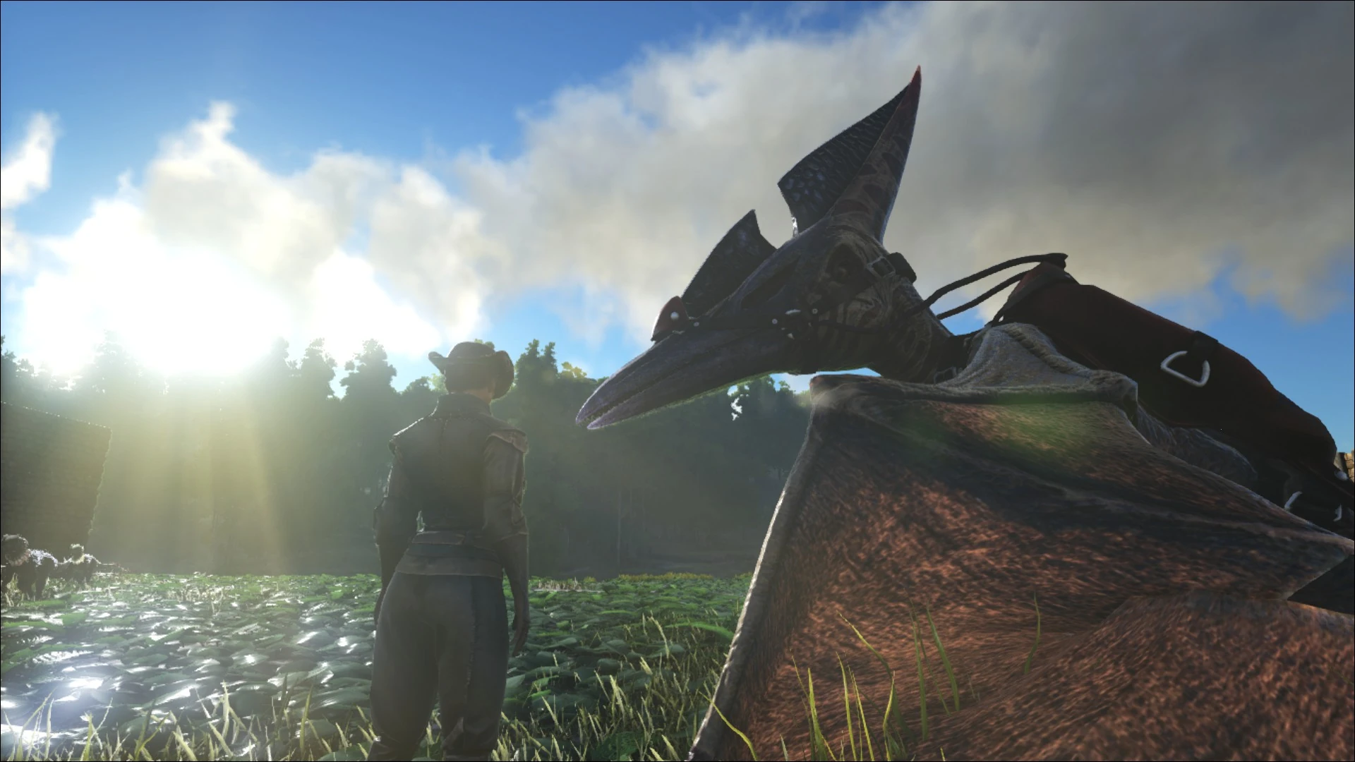 Taming a Pteranodon in ARK